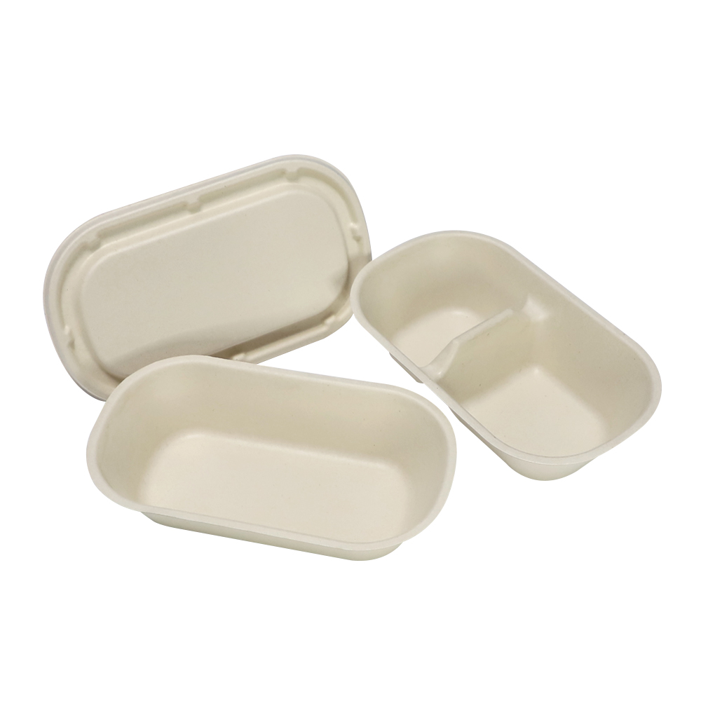 Sugarcane Bagasse Compostable Food Container