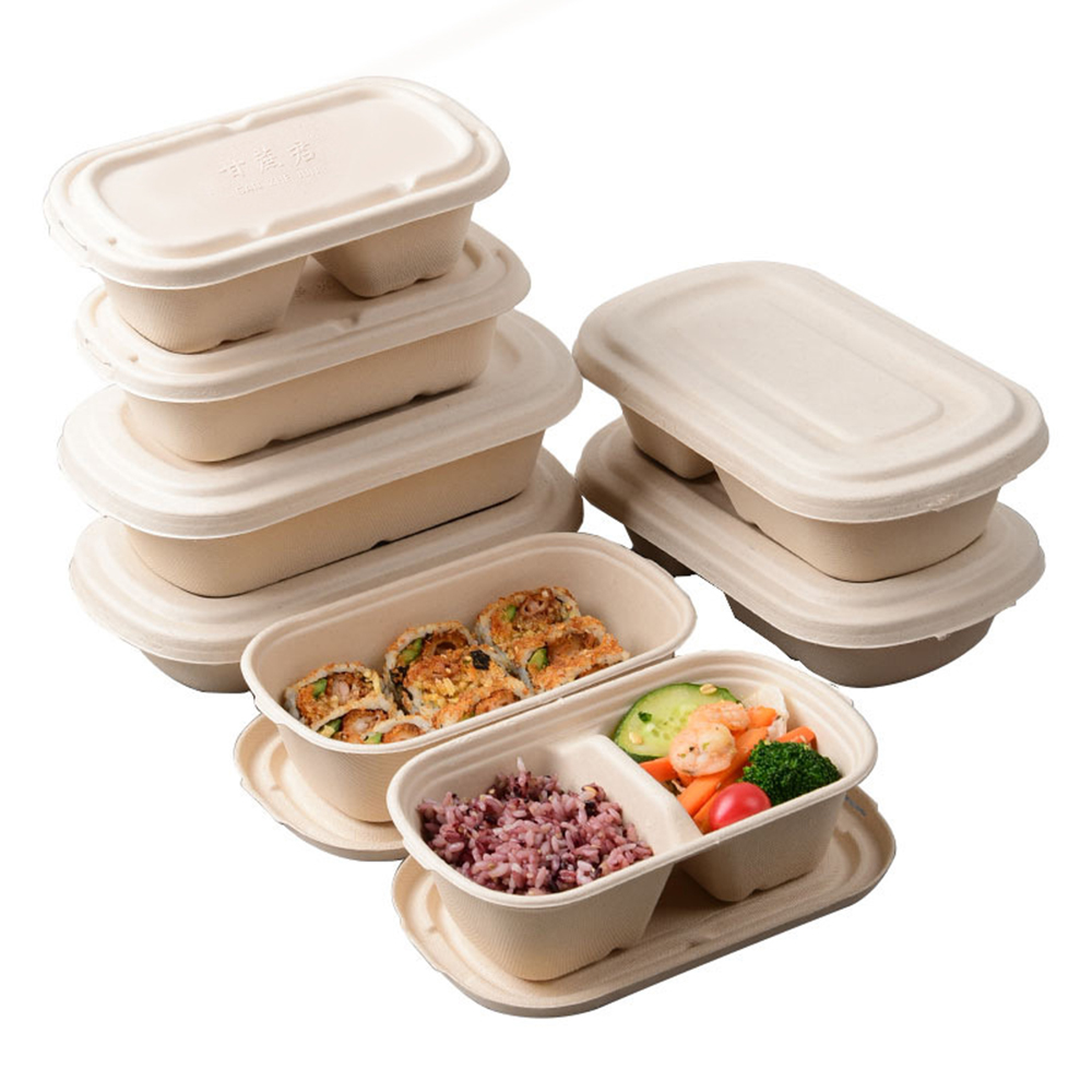 Sugarcane Bagasse Food Container Manufacturer