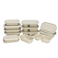 Sugarcane Bagasse Food Container Manufacturer