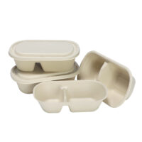 Sugarcane Bagasse Food Container Supplier