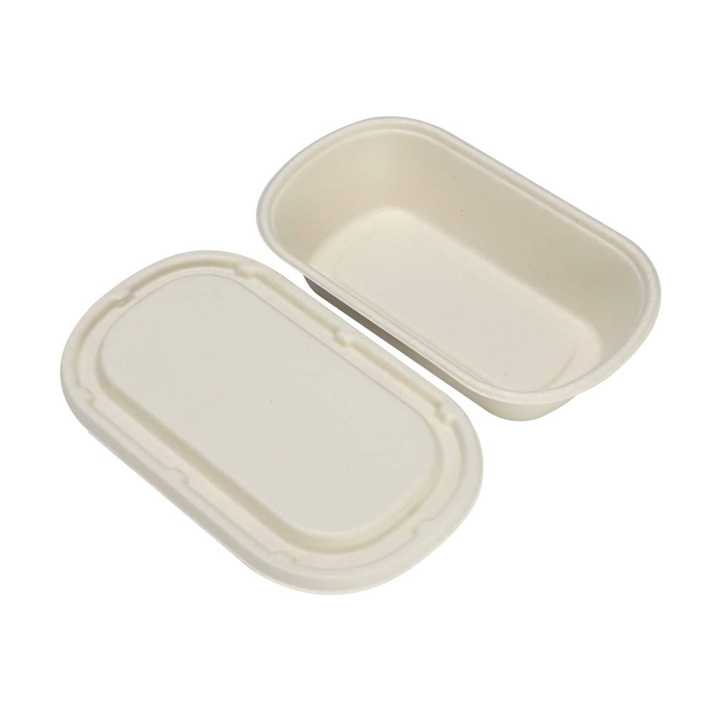 Sugarcane Bagasse Food Container Supplier