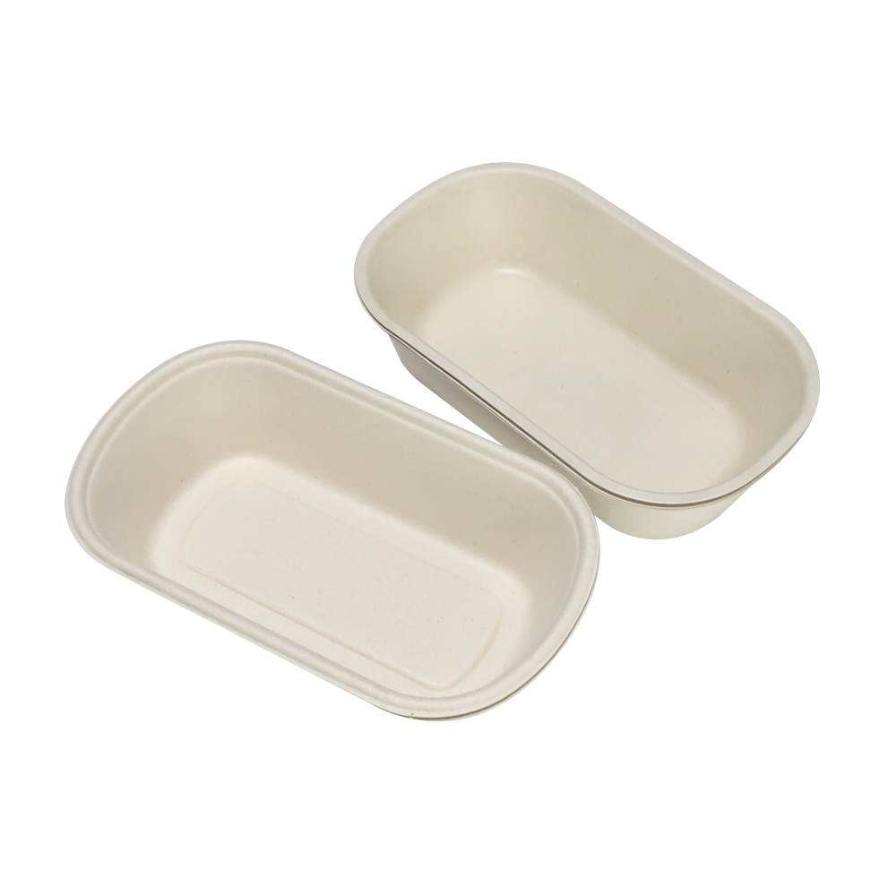 Sugarcane Bagasse Food Container Supplier