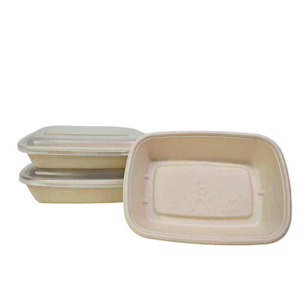 Sugarcane Bagasse Food Container Wholesale