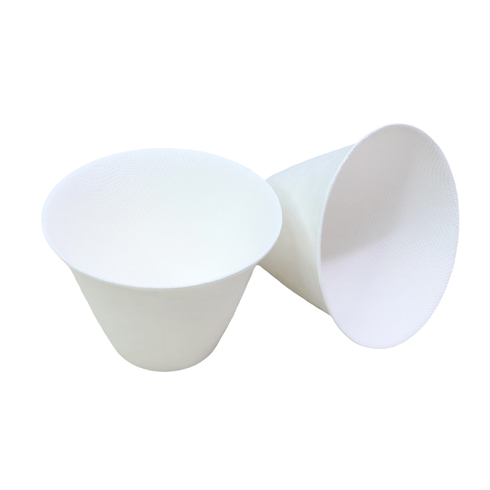 Sugarcane Bagasse Ice Cream Bowl