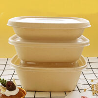 Sugarcane Bagasse Leak Proof Food Container