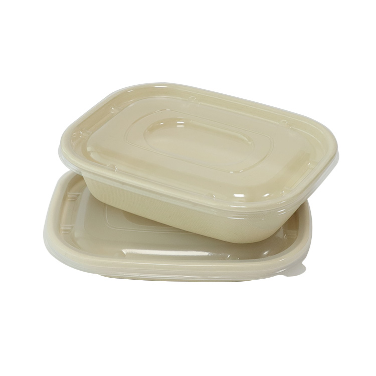 Sugarcane Bagasse Leak Proof Food Container