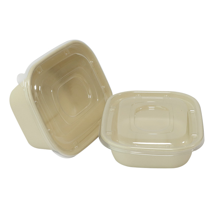 Sugarcane Bagasse Leak Proof Food Container