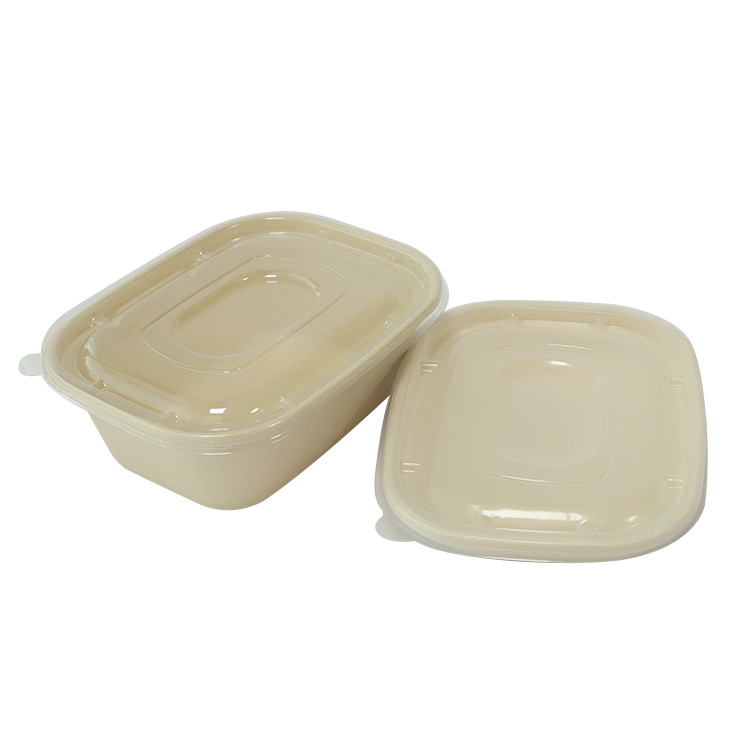Sugarcane Bagasse Leak Proof Food Container