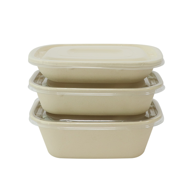 Sugarcane Bagasse Leak Proof Food Container