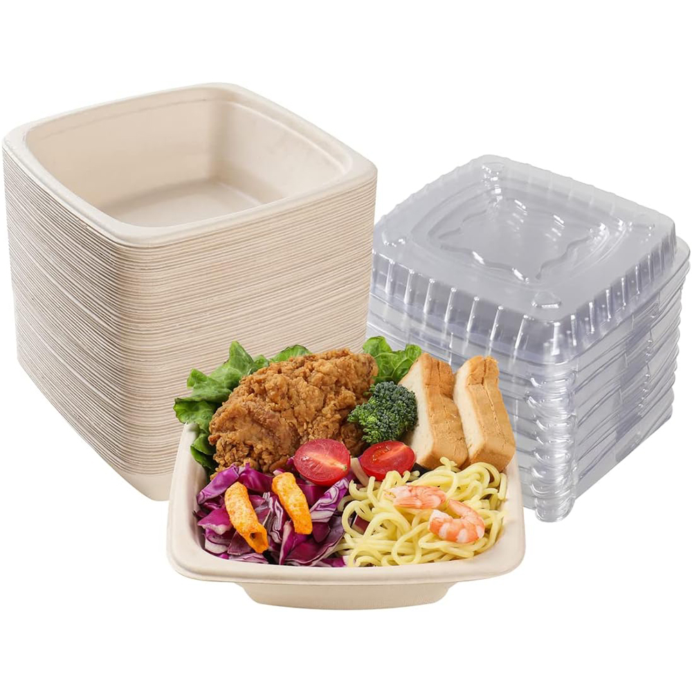 Sugarcane Bagasse Noodle Bowl
