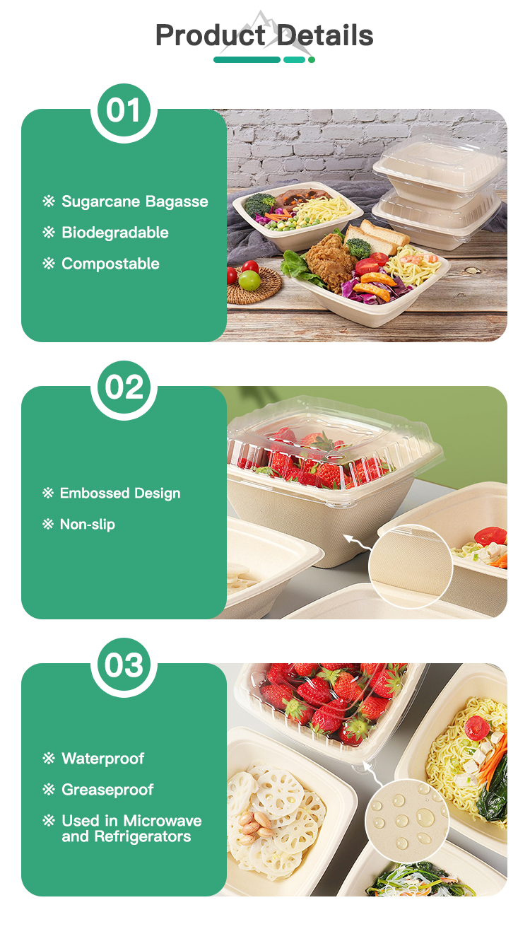 Sugarcane Bagasse Noodle Bowl