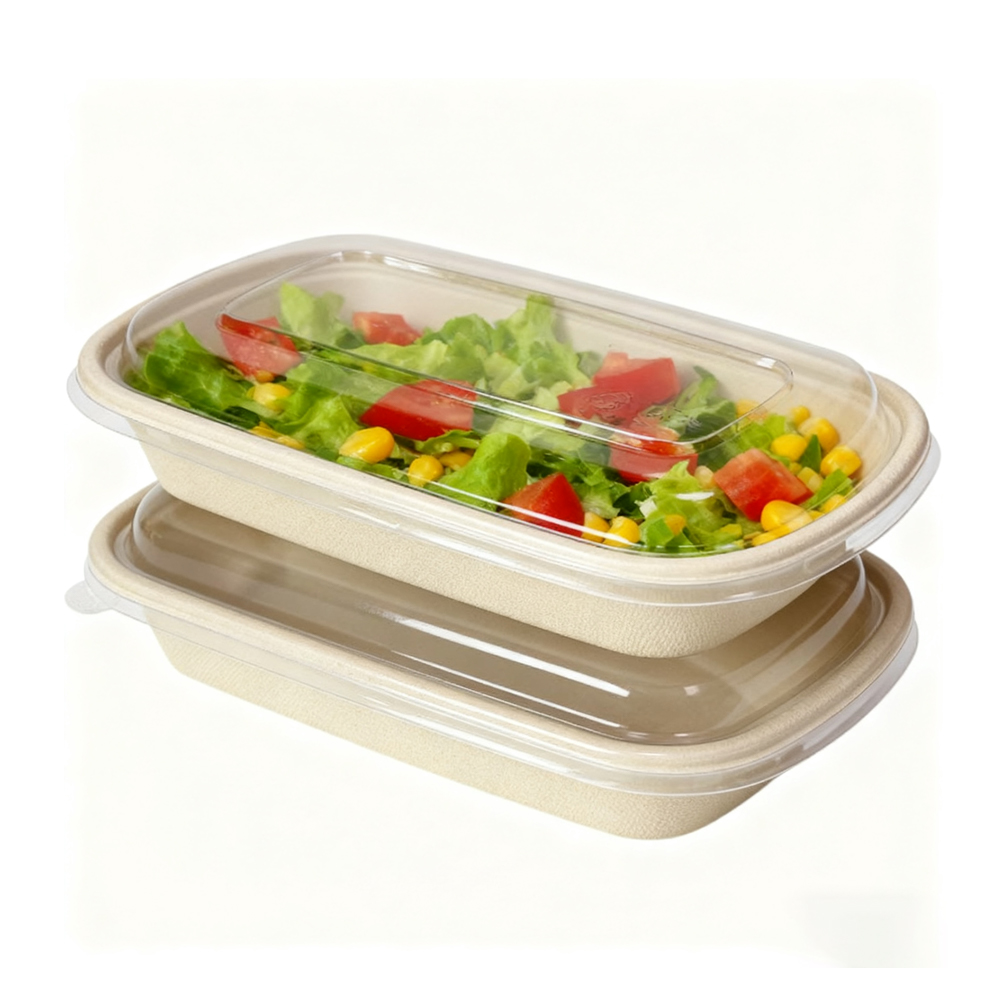 Sugarcane Bagasse Packaging for Takeaway Food