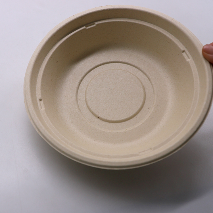 Sugarcane Bagasse Salad Bowl
