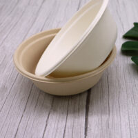 Sugarcane Bagasse Salad Bowl