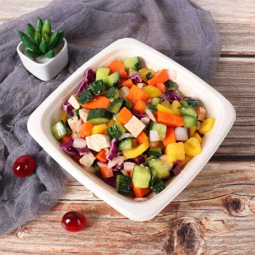 Sugarcane Bagasse Soup Bowl