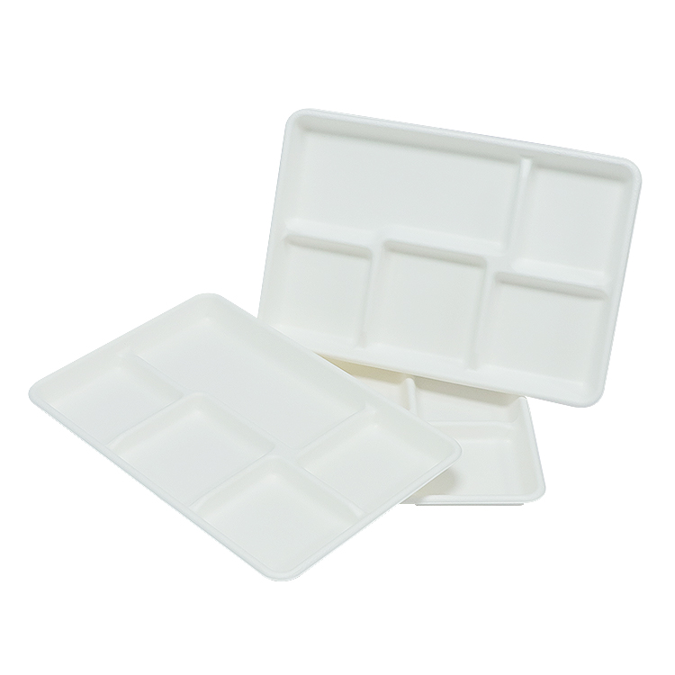 Sugarcane Catering Tray