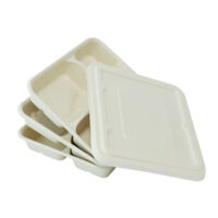 Sugarcane Catering Tray