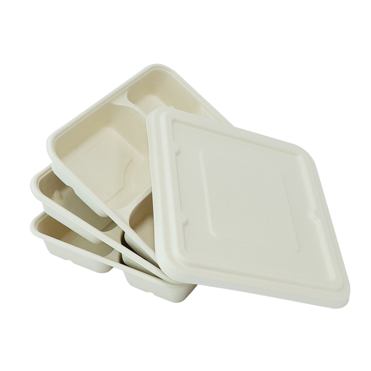 Sugarcane Catering Tray