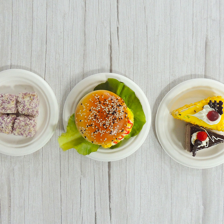 Sugarcane Dessert Plate