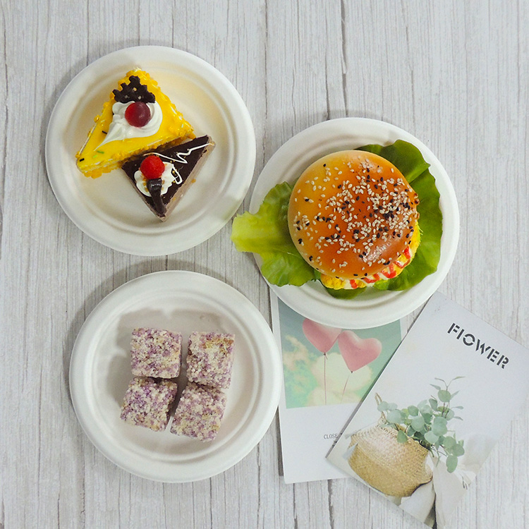 Sugarcane Dessert Plate