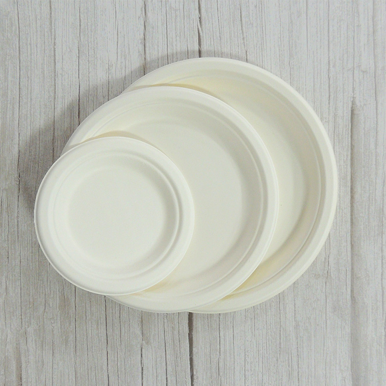 Sugarcane Dessert Plate
