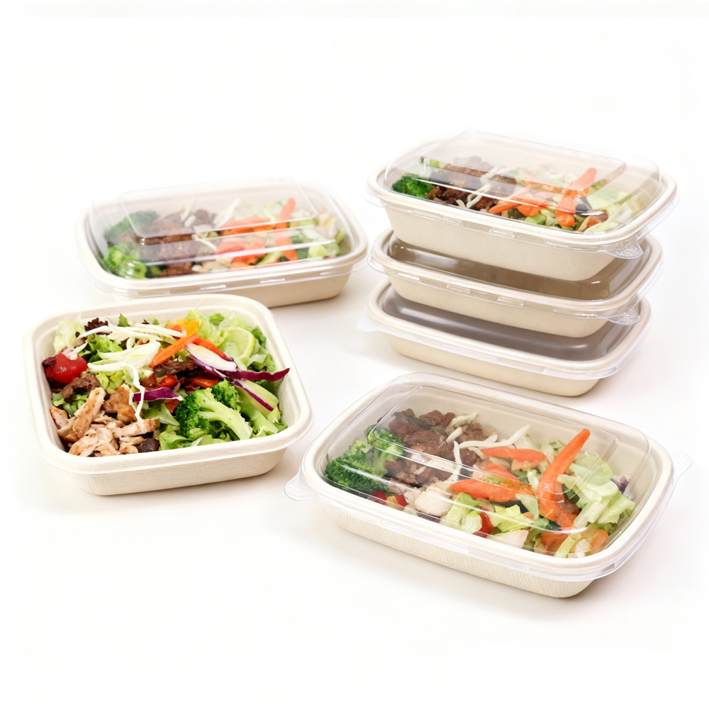 Sugarcane Food Containers with Lids for Takeaway
