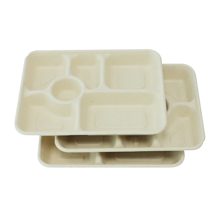 Sugarcane Packaging Tray