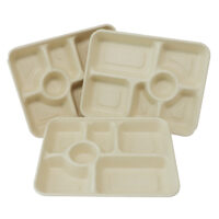 Sugarcane Packaging Tray
