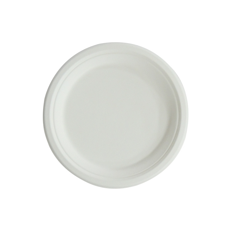 Sugarcane Plate Manufacturer