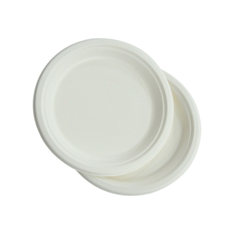 Sugarcane Plate Manufacturer