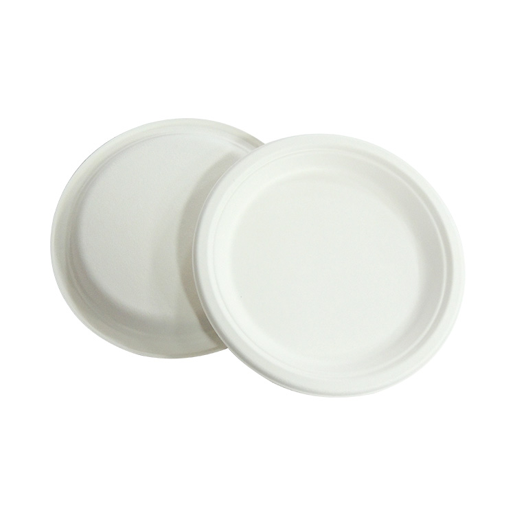Sugarcane Plate Manufacturer