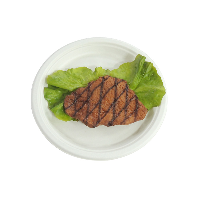 Sugarcane Plate Manufacturer