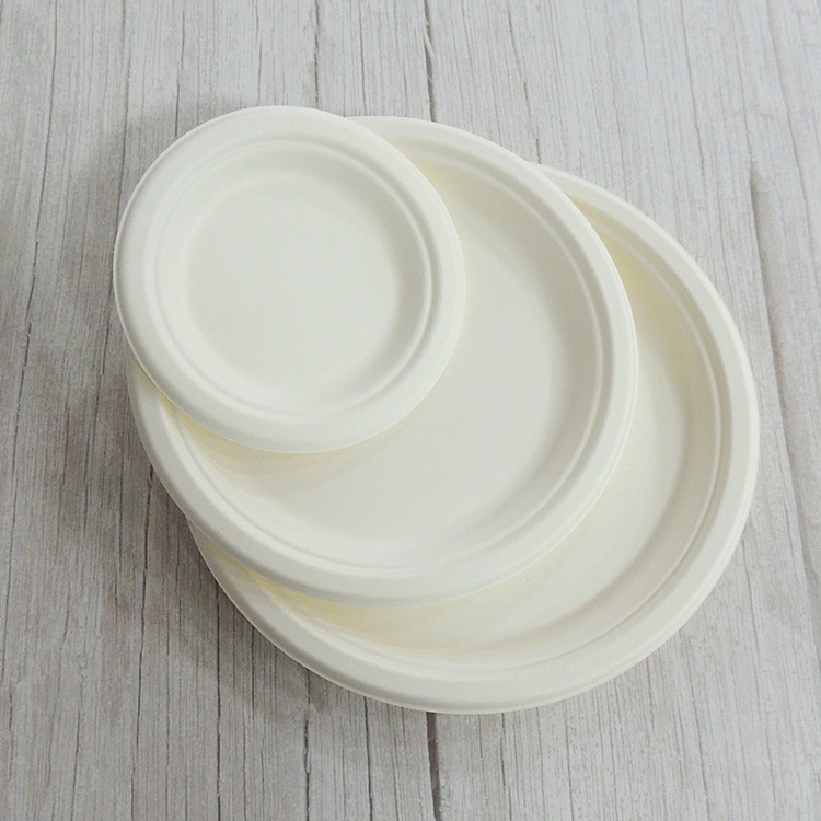 Sugarcane Serving Plate