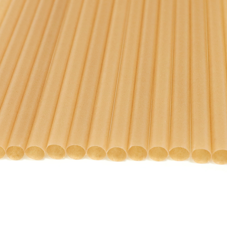 Sugarcane Straws Wholesale