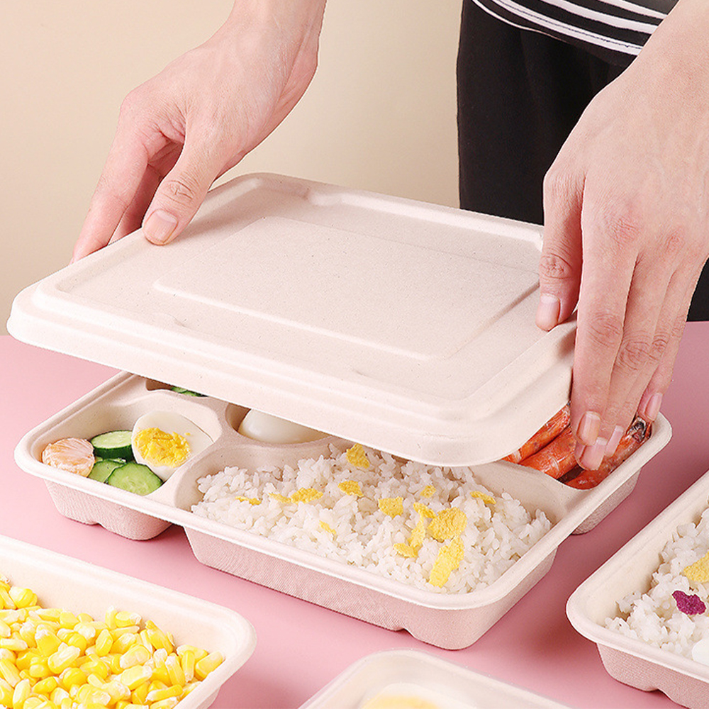 Sugarcane Tray Supplier