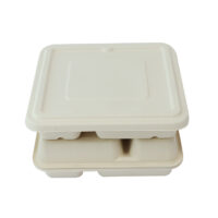 Sugarcane Tray Supplier