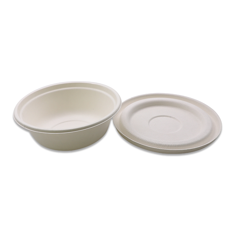 Wholesale Bagasse Bowls for Restaurants and Catering