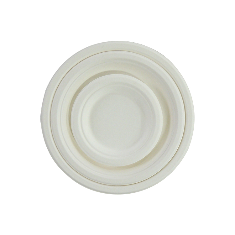 Wholesale Bagasse Plates for Restaurants