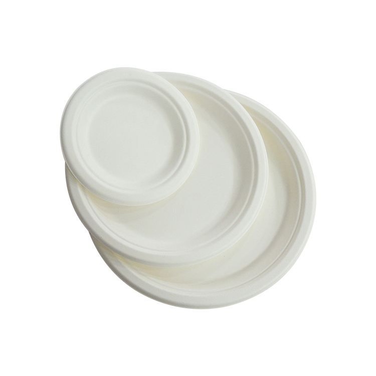 Wholesale Bagasse Plates for Restaurants