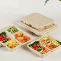 Bagasse Compartment Trays Wholesale