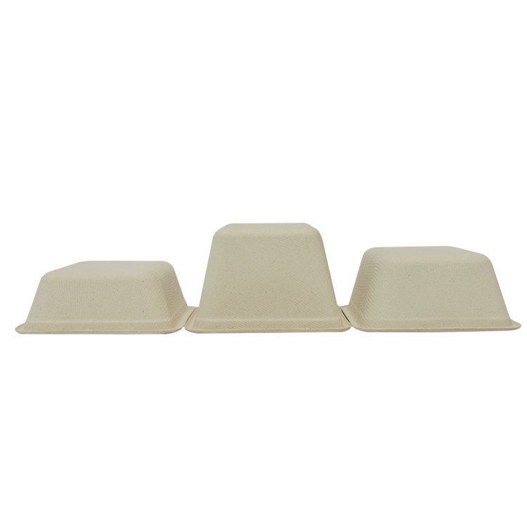 Biodegradable Food Packaging Wholesale