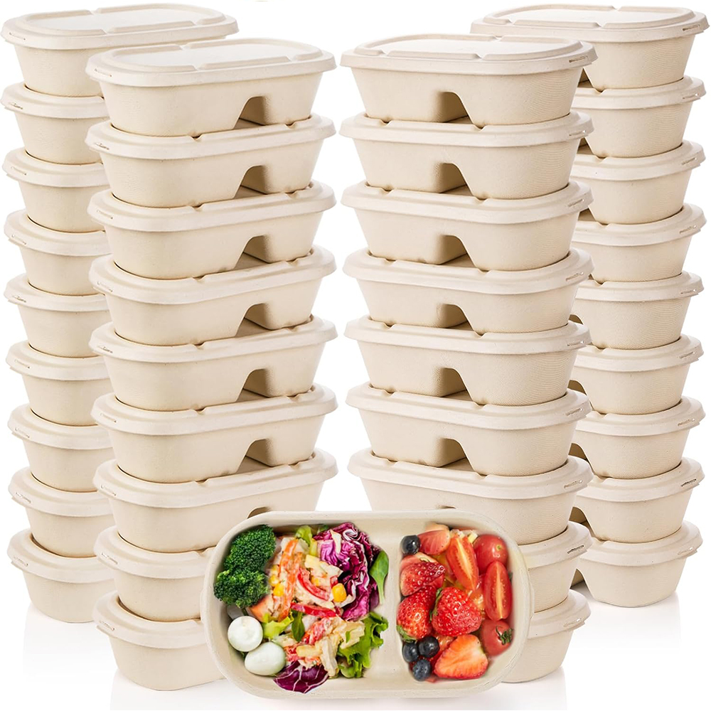 Can Bagasse Replace Plastic Food Containers
