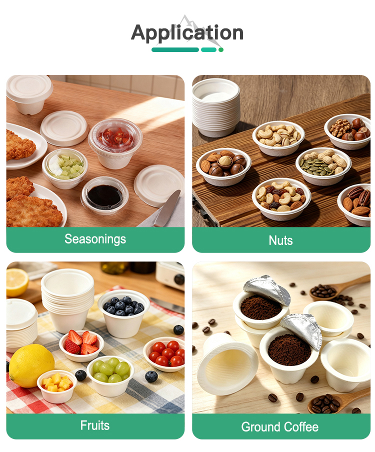 Disposable Sauce Containers