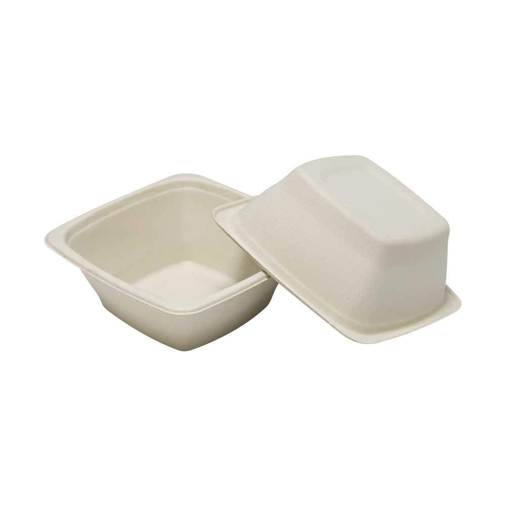 Disposable Sugarcane Bagasse Food Containers for Takeaway