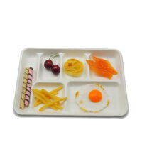 Sugarcane 12 inch Presentation Tray