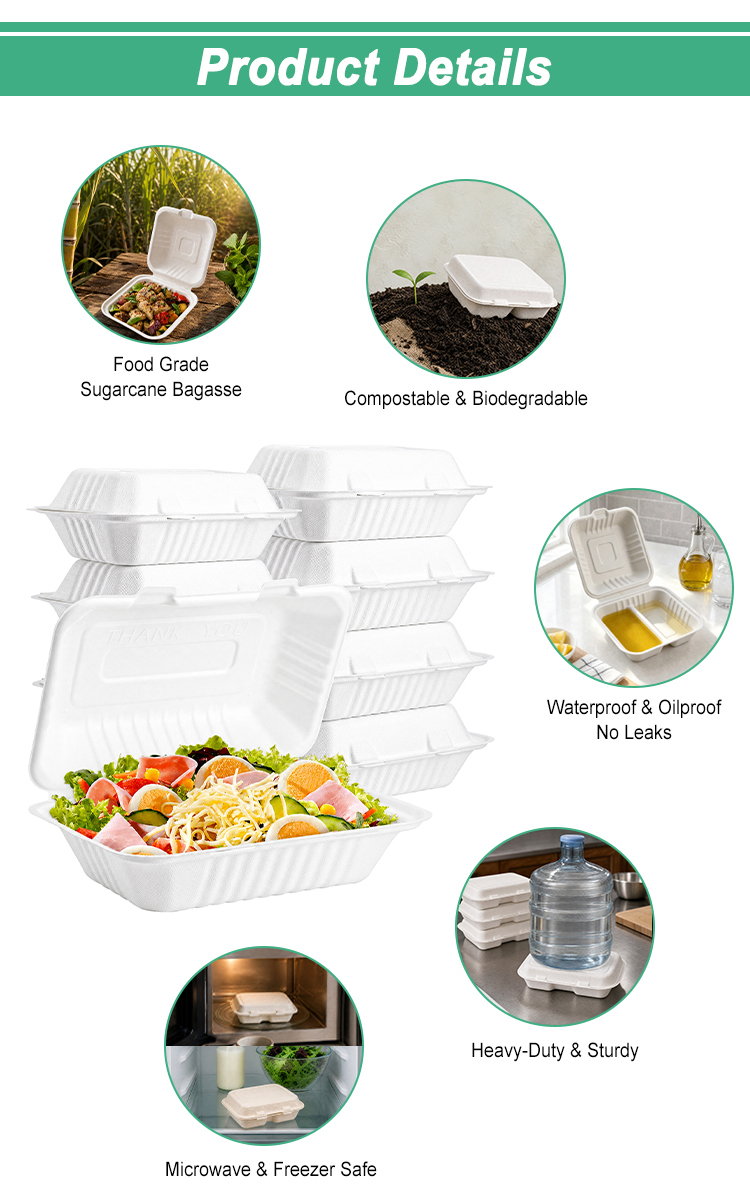 Sugarcane Bagasse 1000ml Clamshell Box