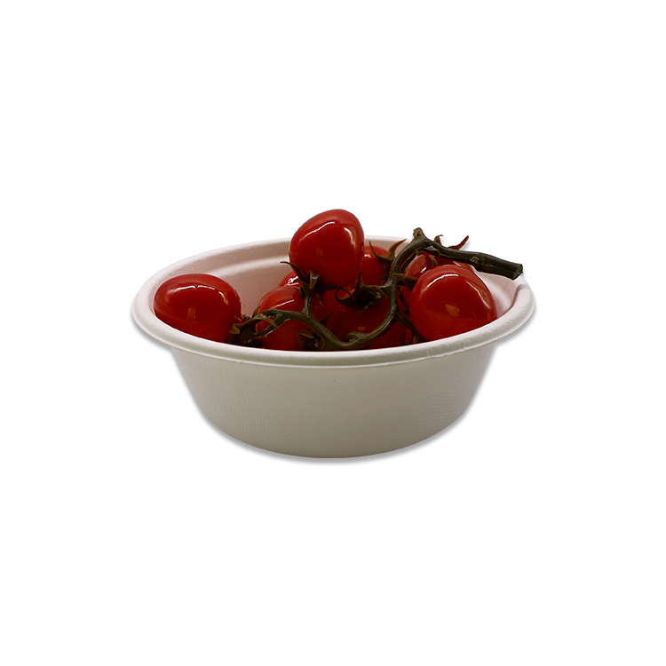 Sugarcane Bagasse Bowl Manufacturer
