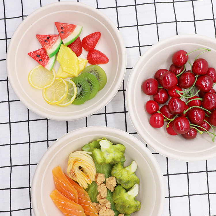 Sugarcane Bagasse Bowl Manufacturer