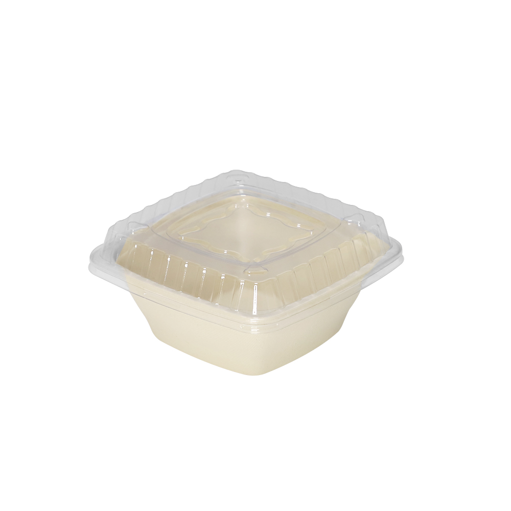 Sugarcane Bagasse Bowl Packaging