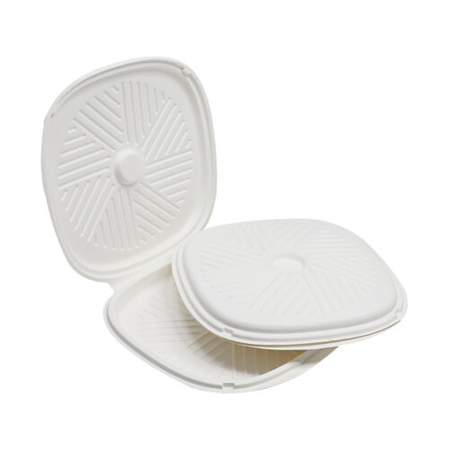 Sugarcane Bagasse Pizza Box
